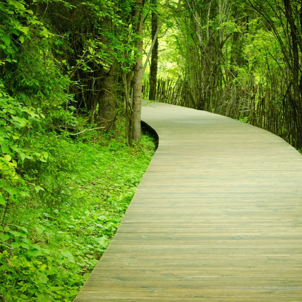 Паркетная тропинка в саду