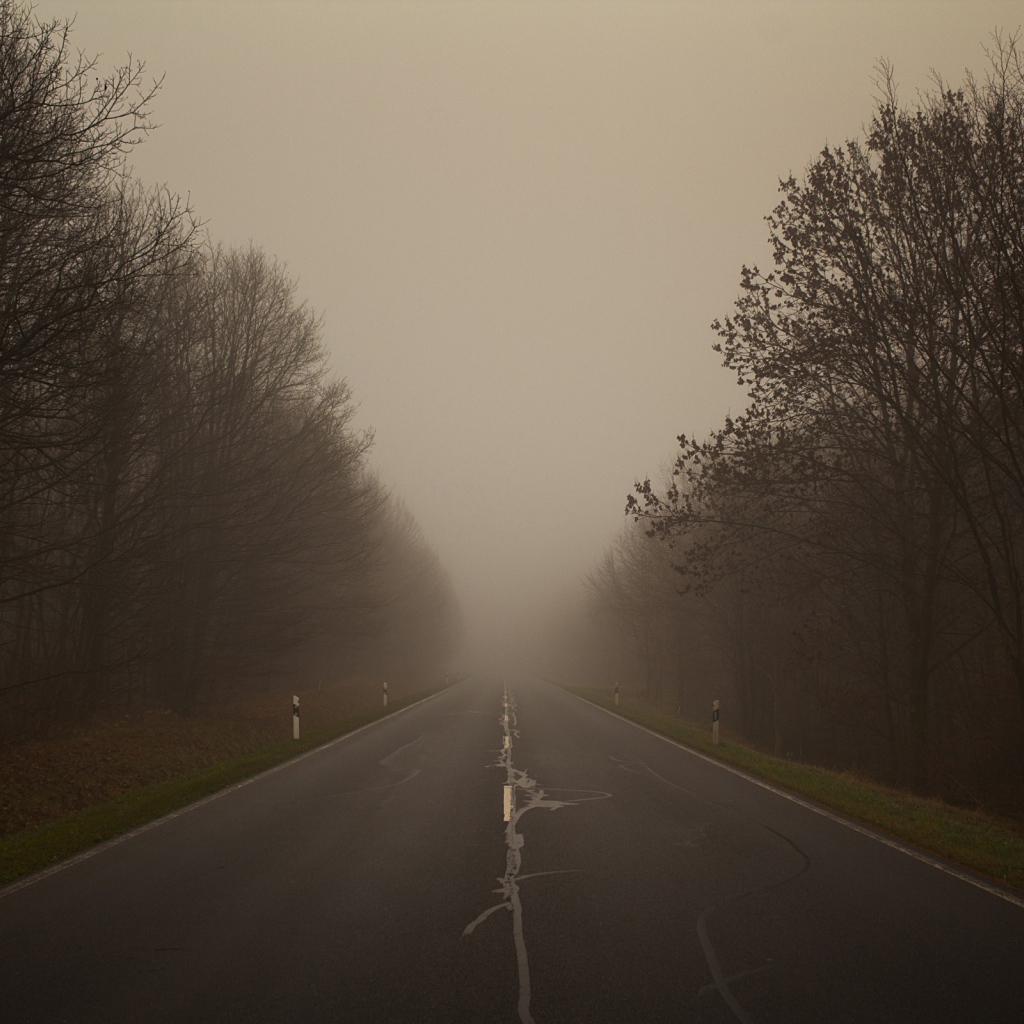 Плохая видимость на дороге