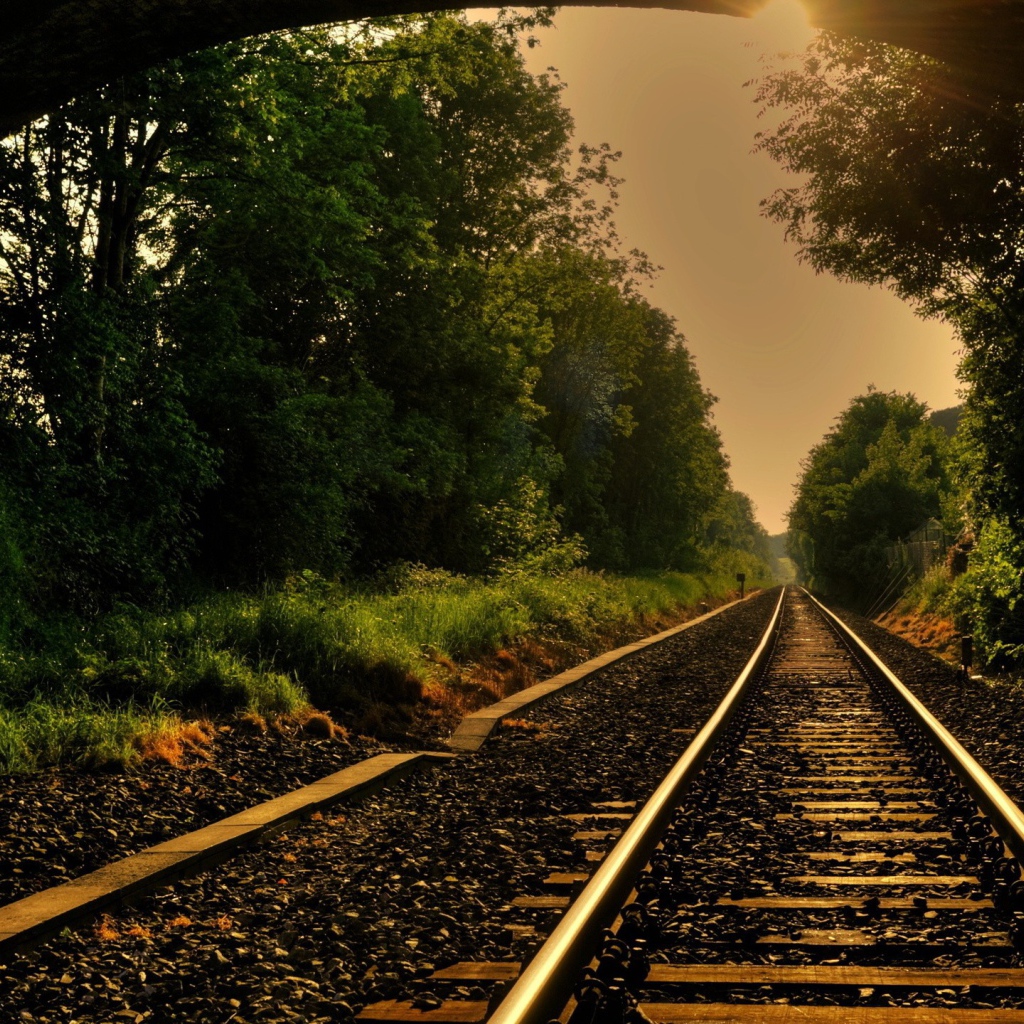 Железная дорога выходит из тоннеля