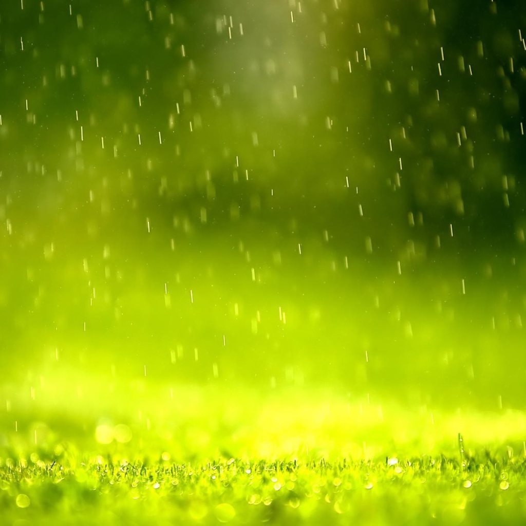 Дождь в зеленой дымке