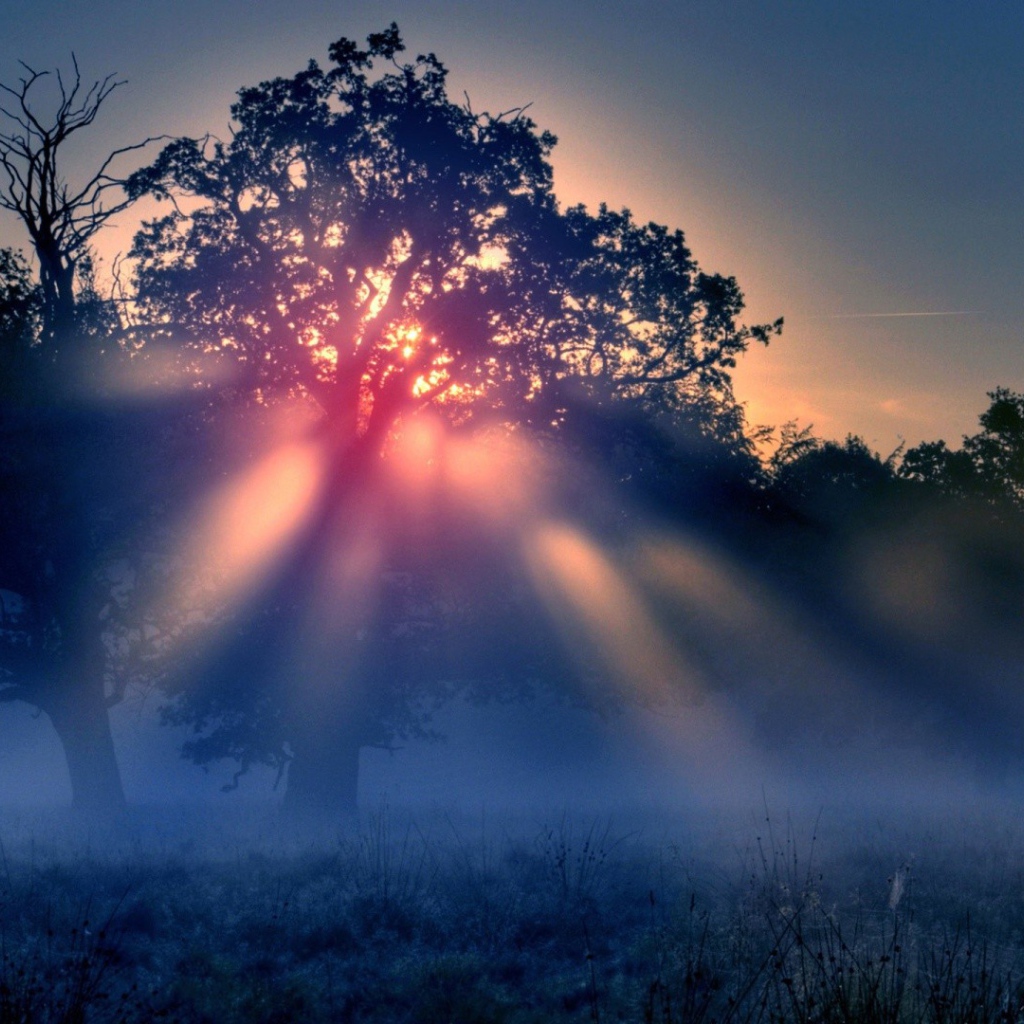 Красные лучи солнца в тумане