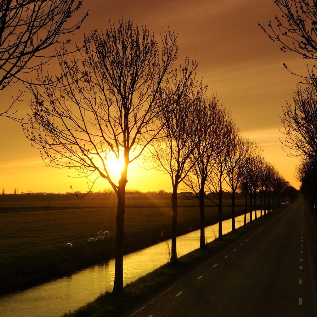 Дорога с каналами по краям