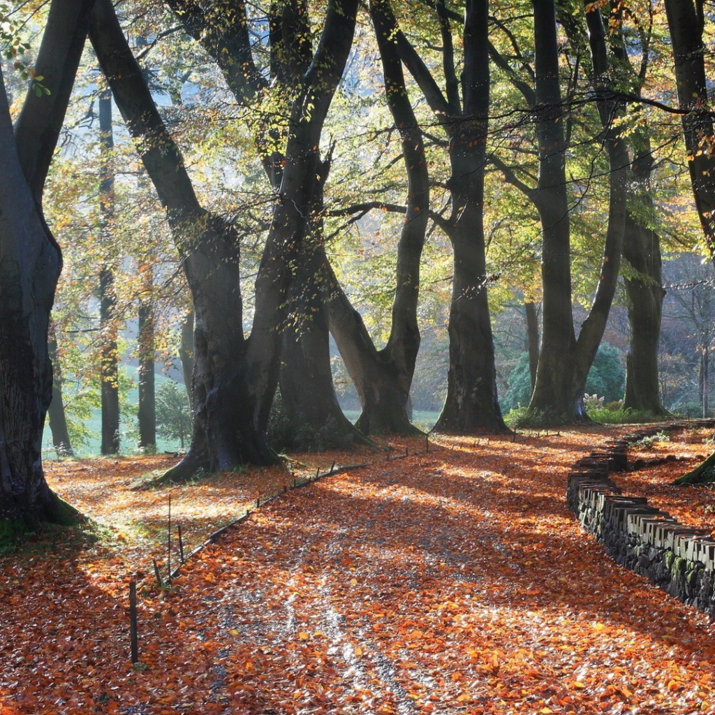 Поворот аллейки, усыпанной листьями
