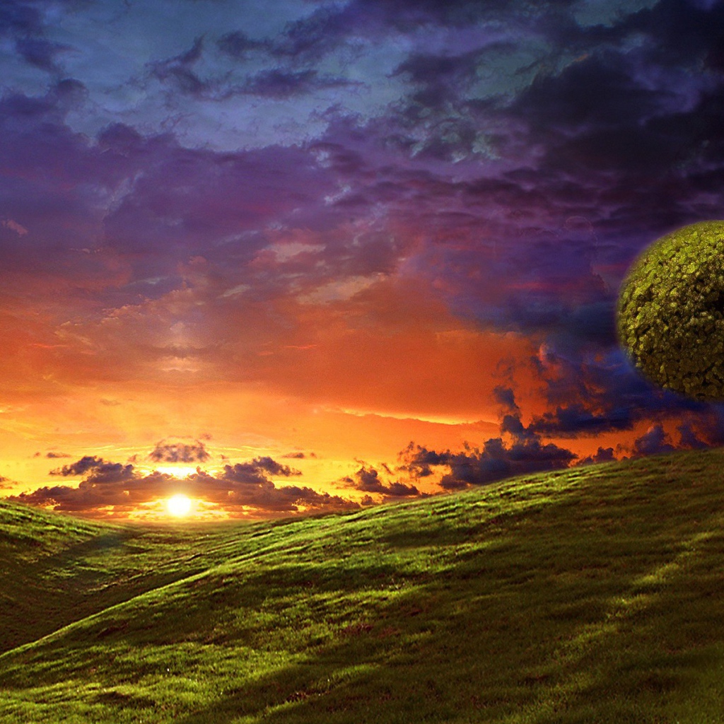 Круглые кроны деревьев на вершинах холмов