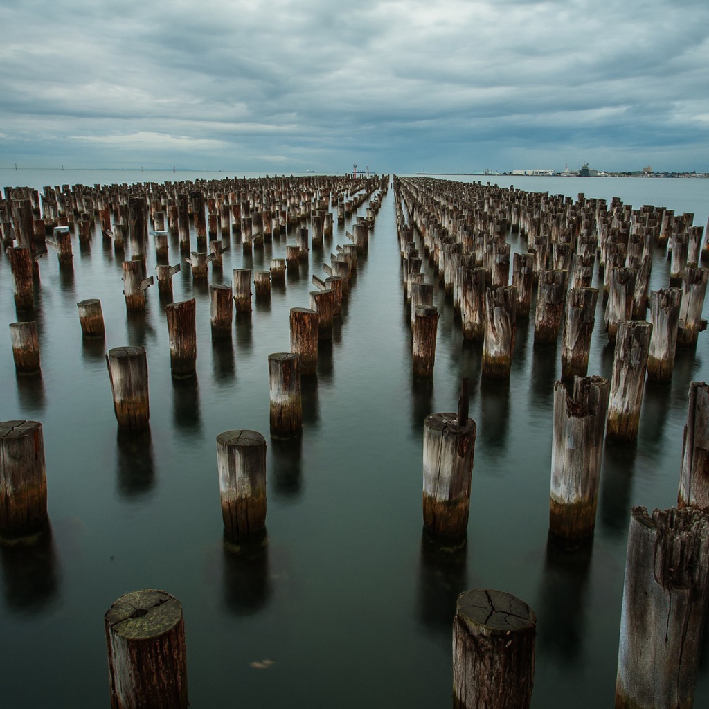 Ряды деревянных свай в воде