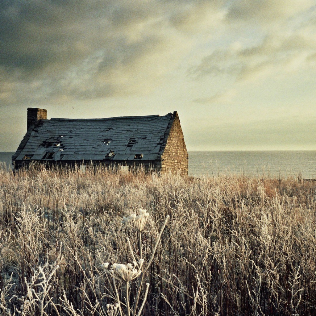 Разрушенный дом на засохшем поле
