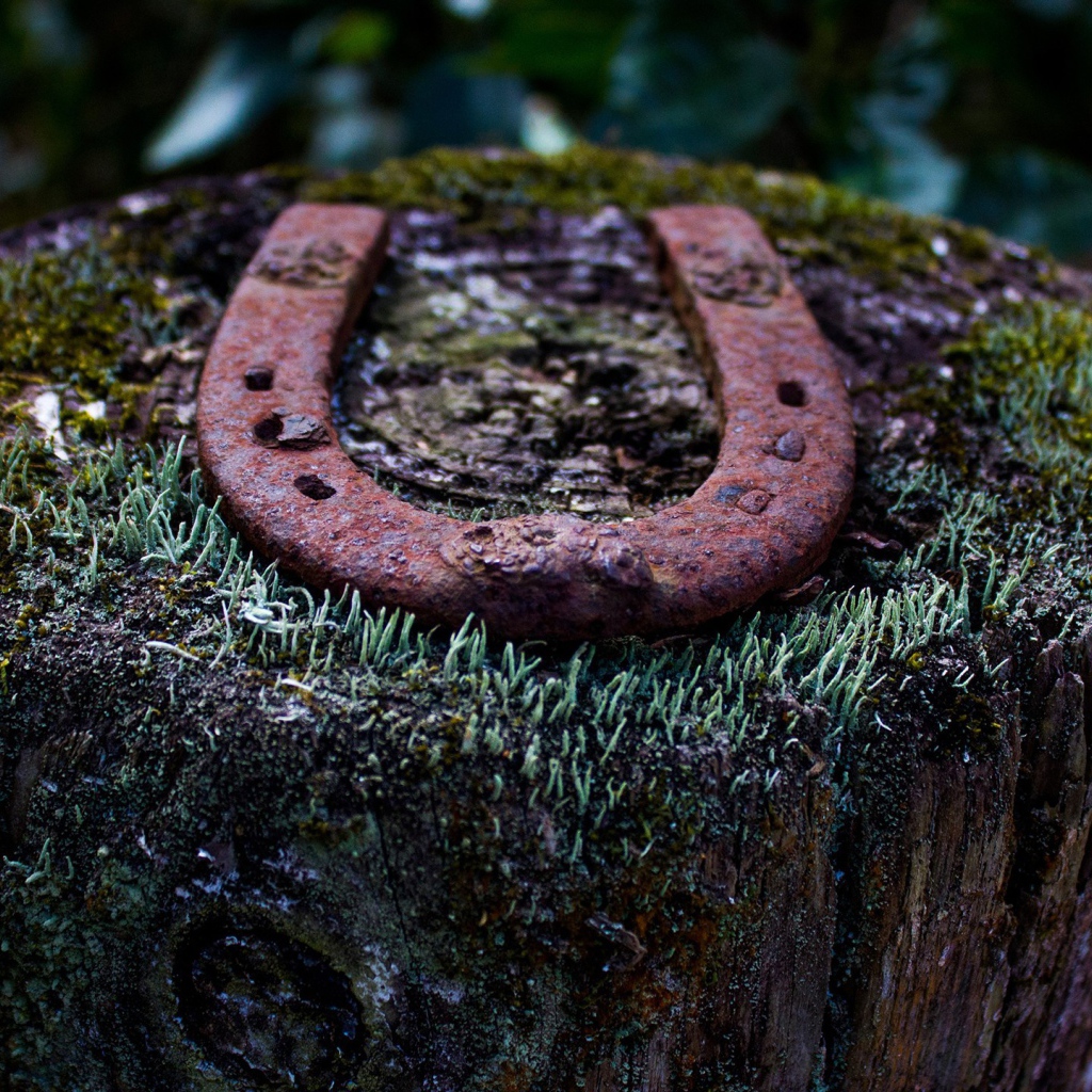 Ржавая подкова на пеньке