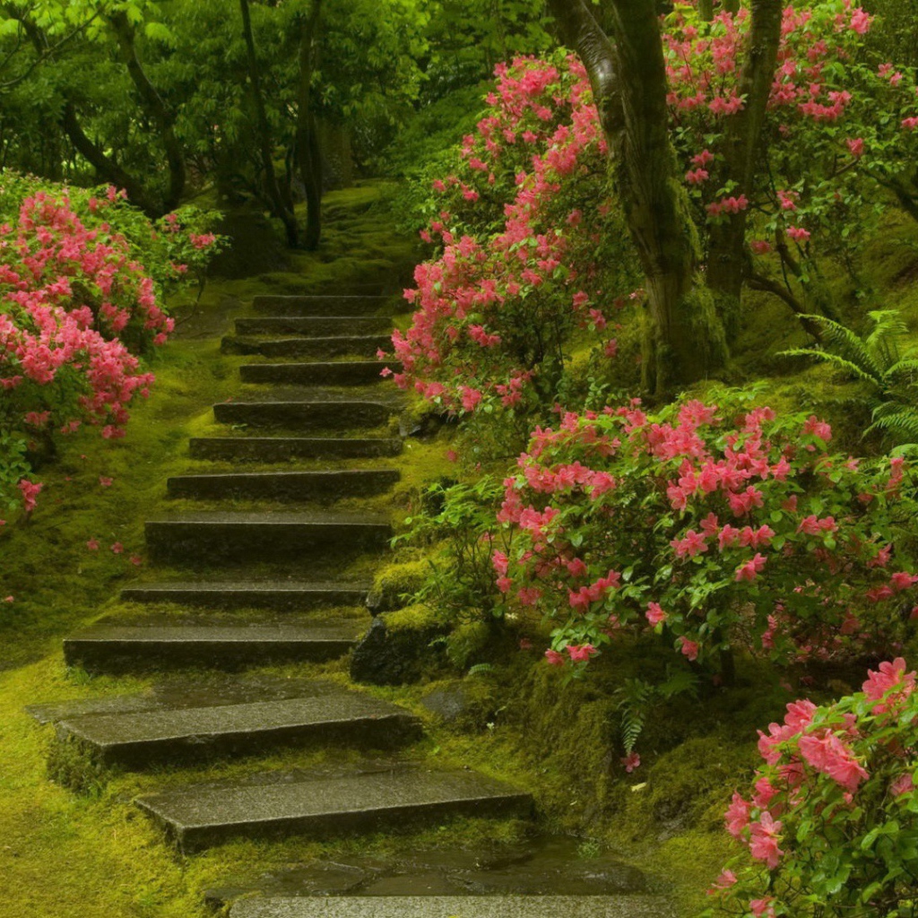 Каменная лестница в цветущем саду