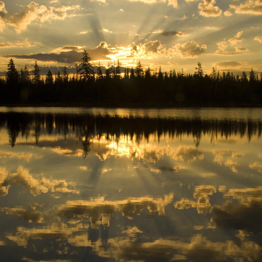 Освещенные лучами солнца облака отражаются в воде