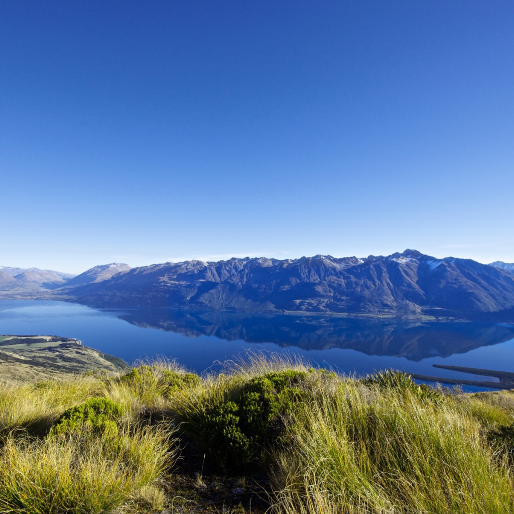 Суровая дикая природа