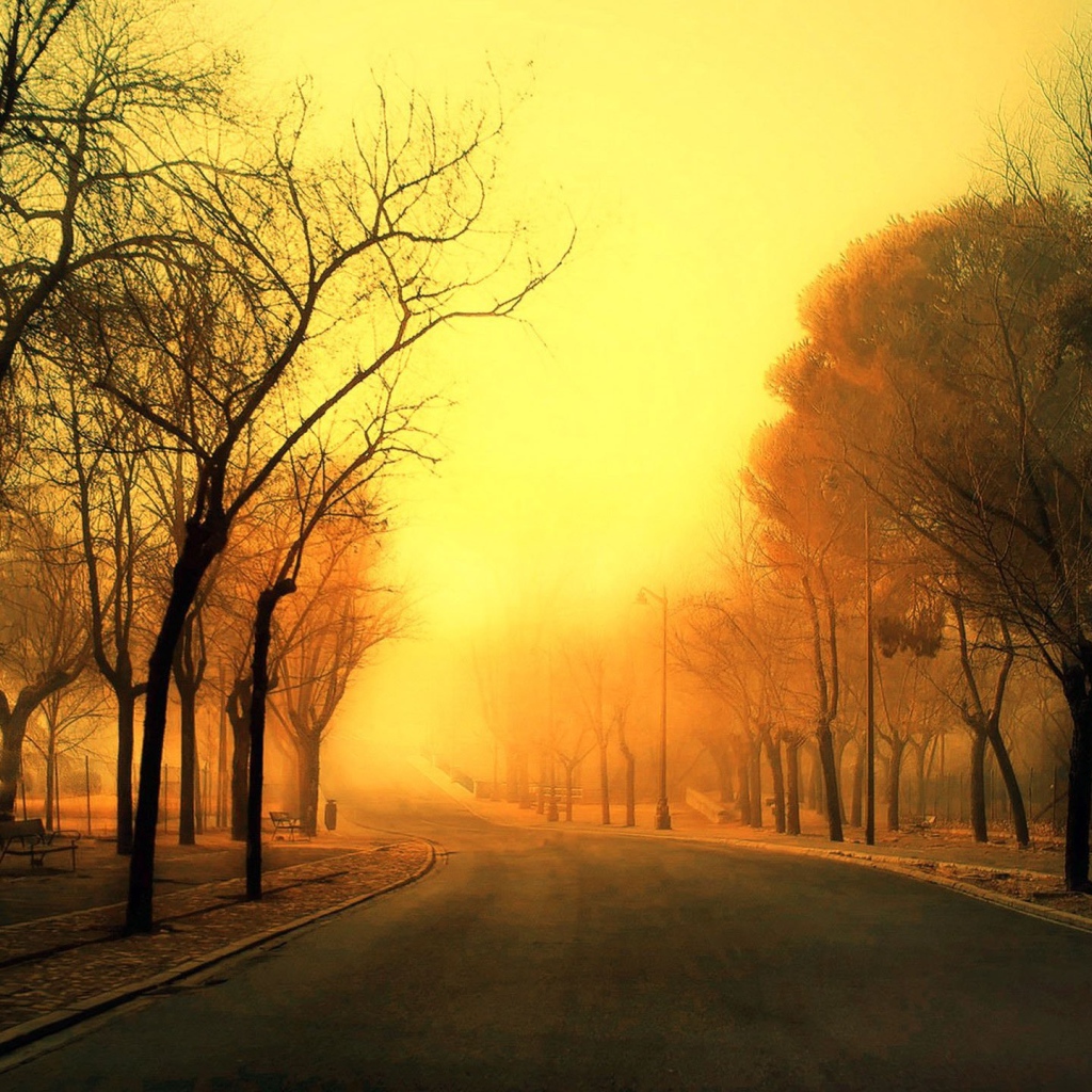 Дорога уходит в оранжевую дымку