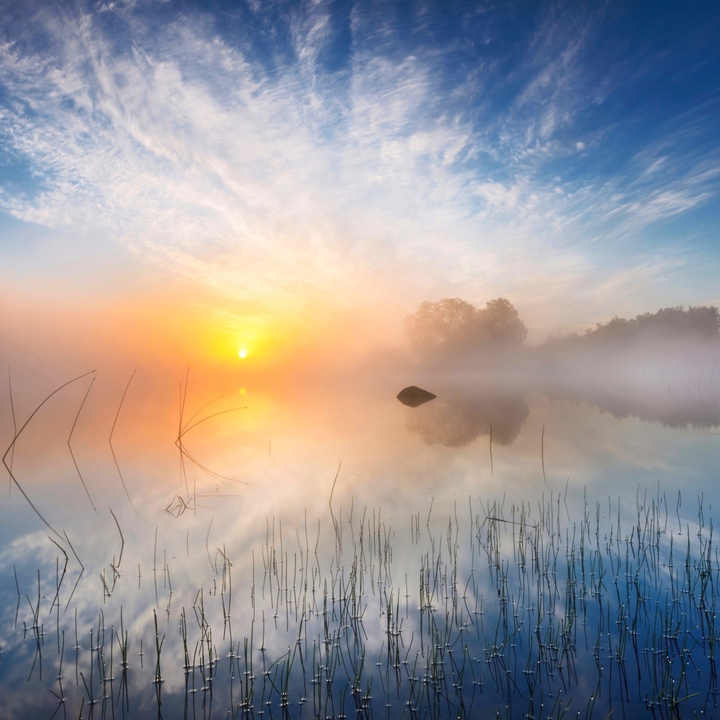 Желтое солнце в утреннем тумане