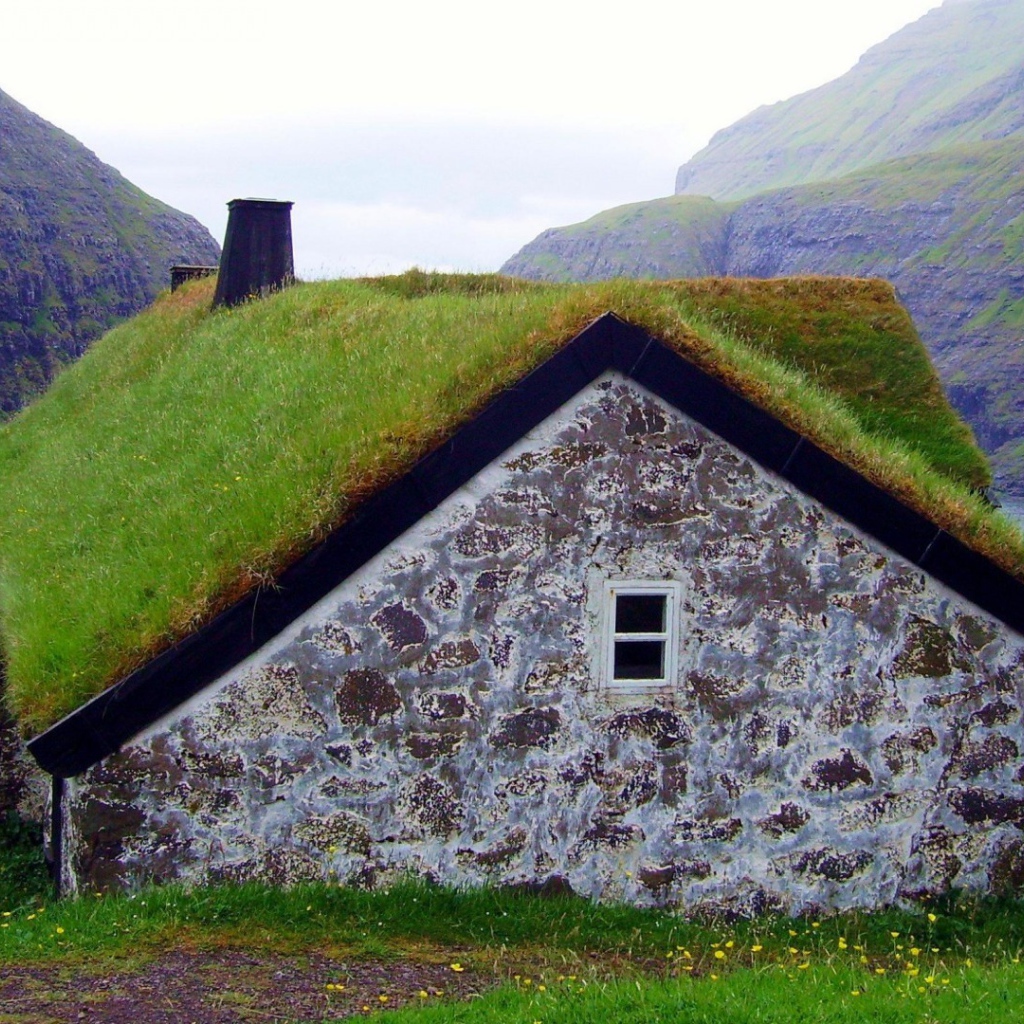 Густая трава на крыше сарая