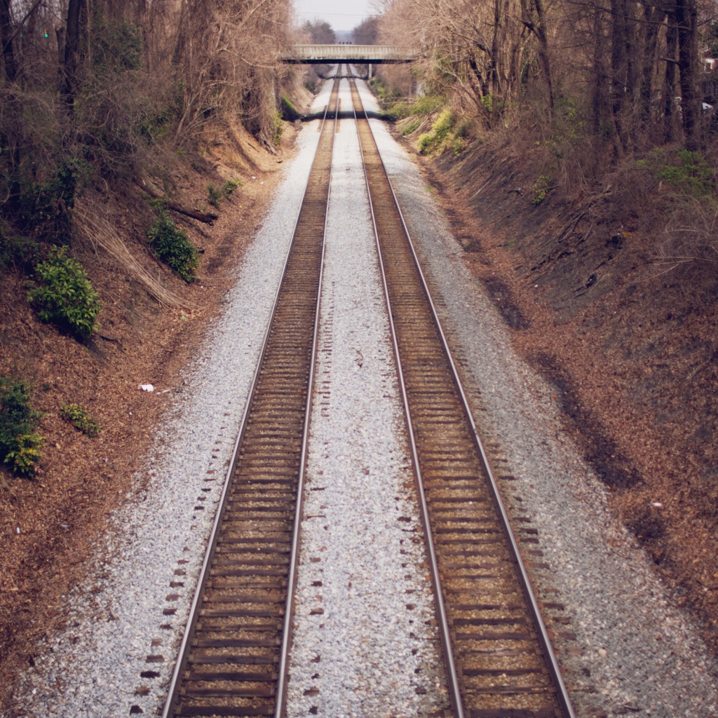 Два пути железной дороги между деревьями