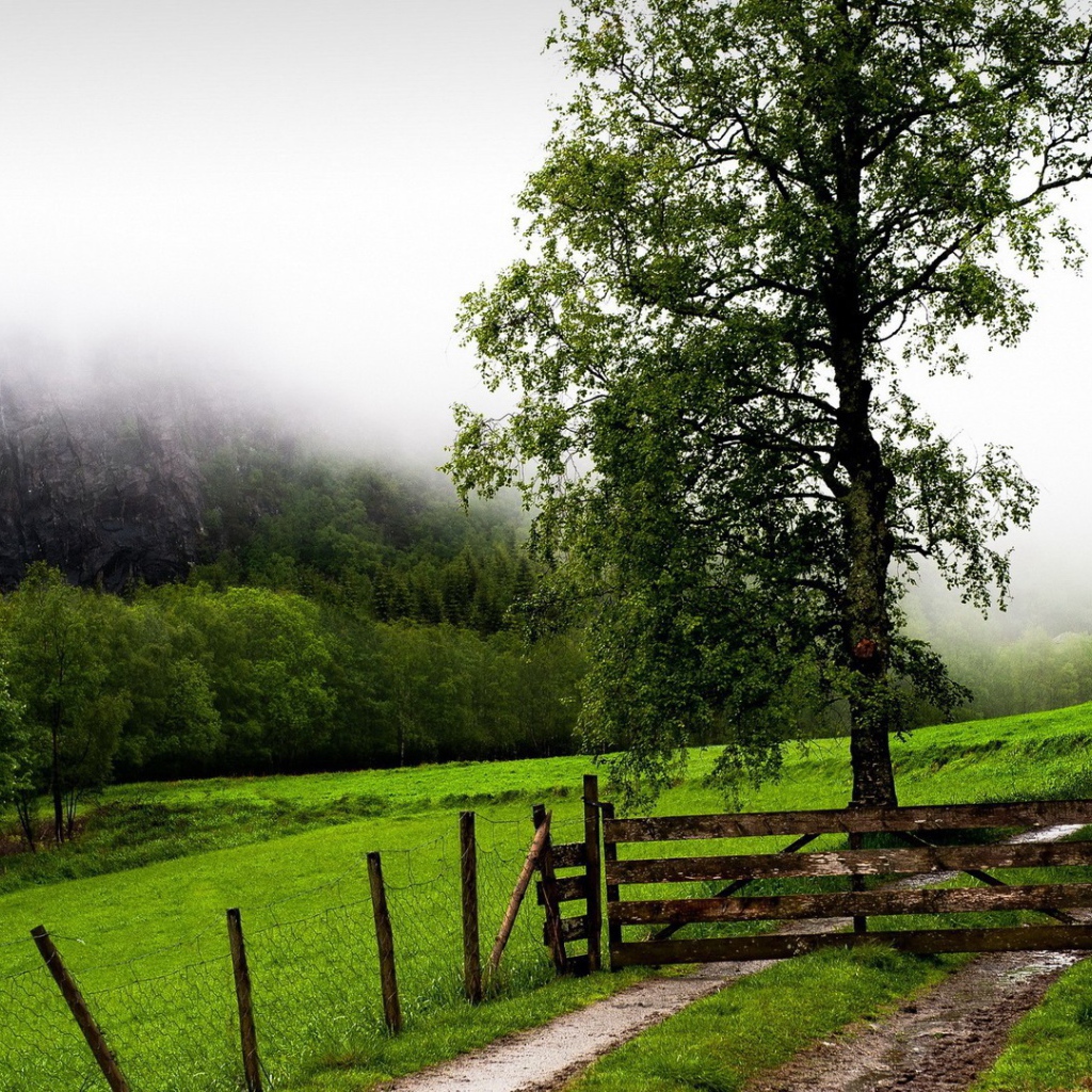 Деревянная преграда на тропе