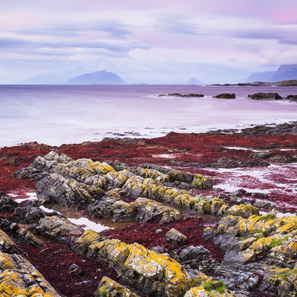 Желтые камни на берегу моря