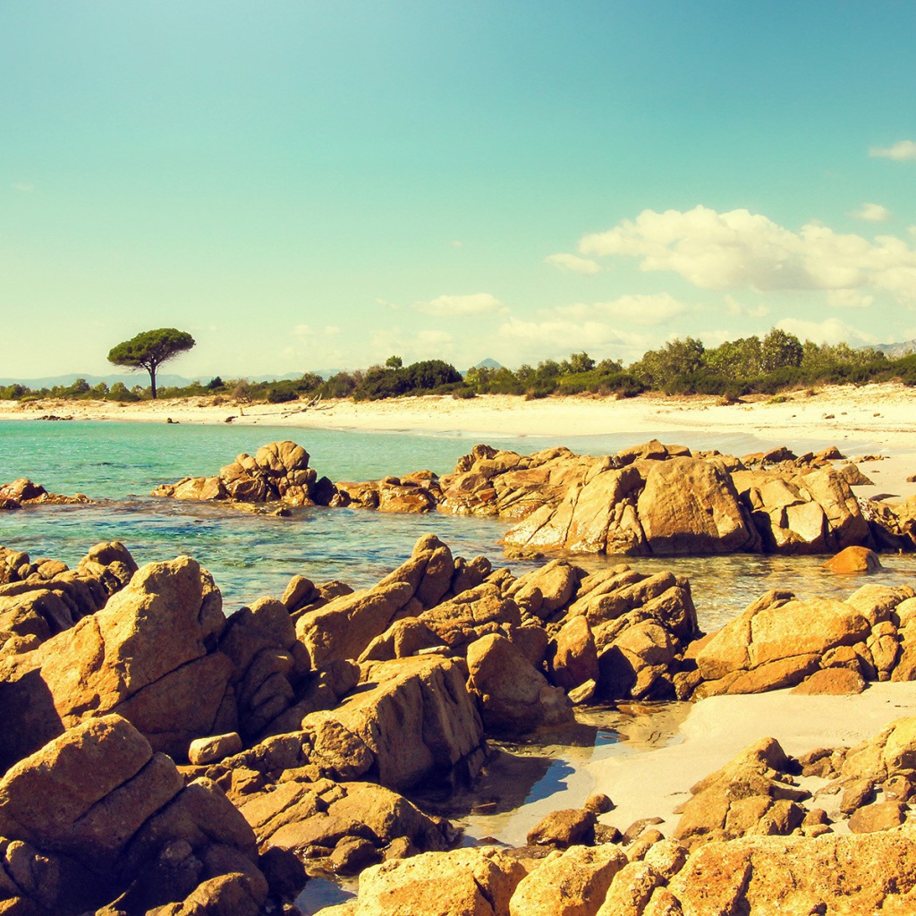 Коричневые камни и скалы на берегу моря