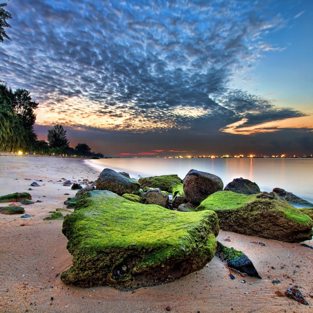 Зеленые камни на песке пляжа