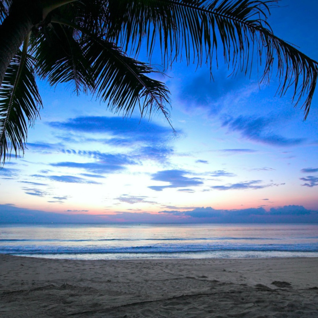 Пальма на пляже на Карибах