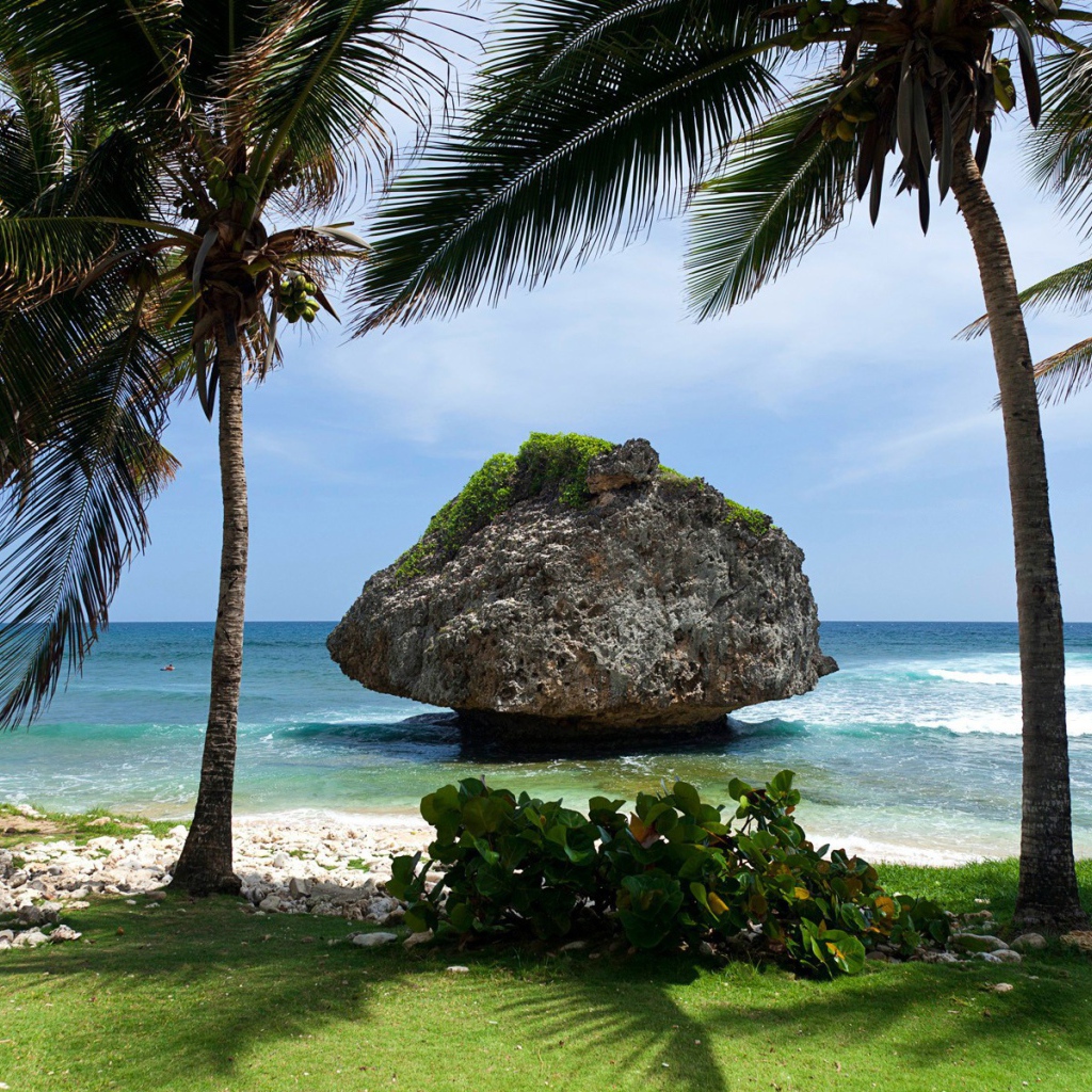 Пальмы на фоне большого камня у берега