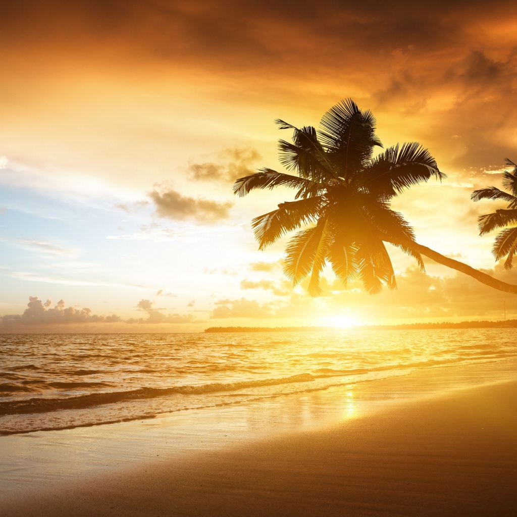 Пальмы на пляже в жаркий вечер