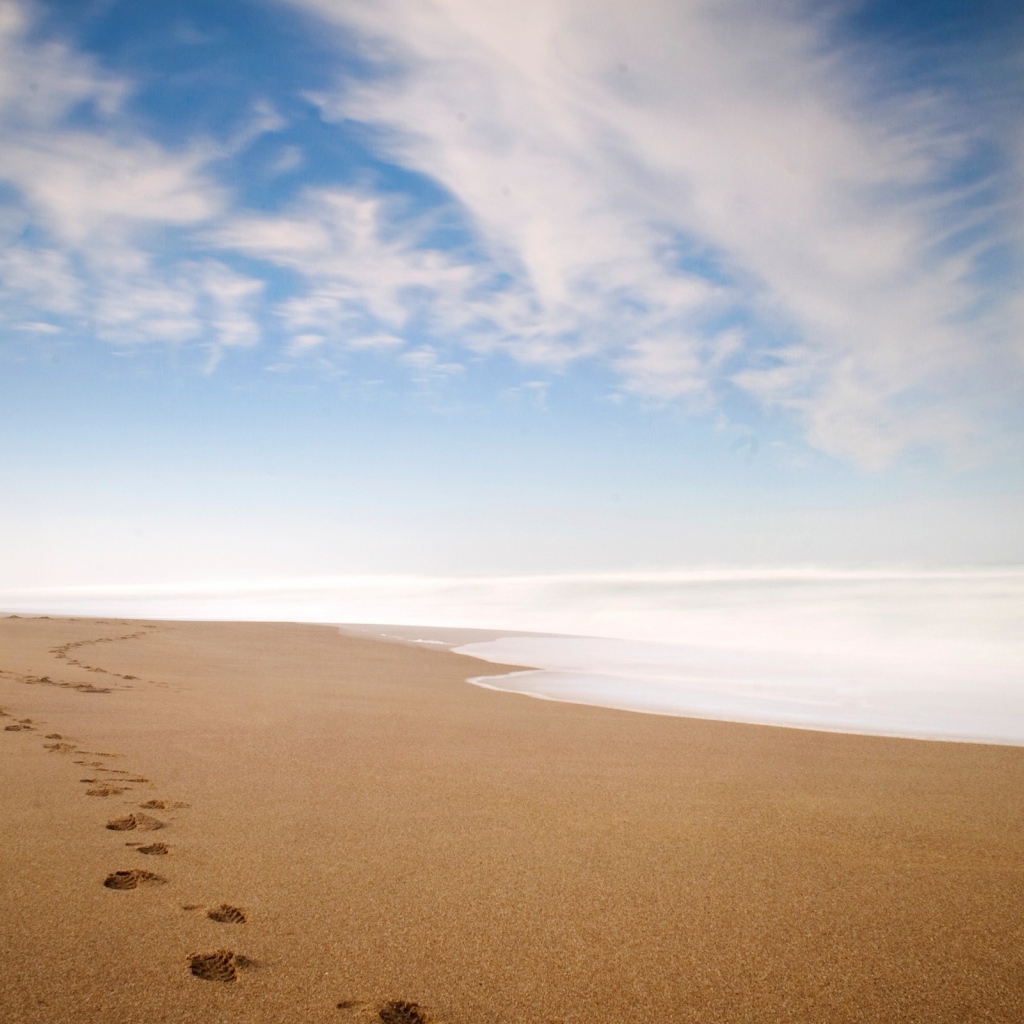 Ряд следов петляет по песку пляжа