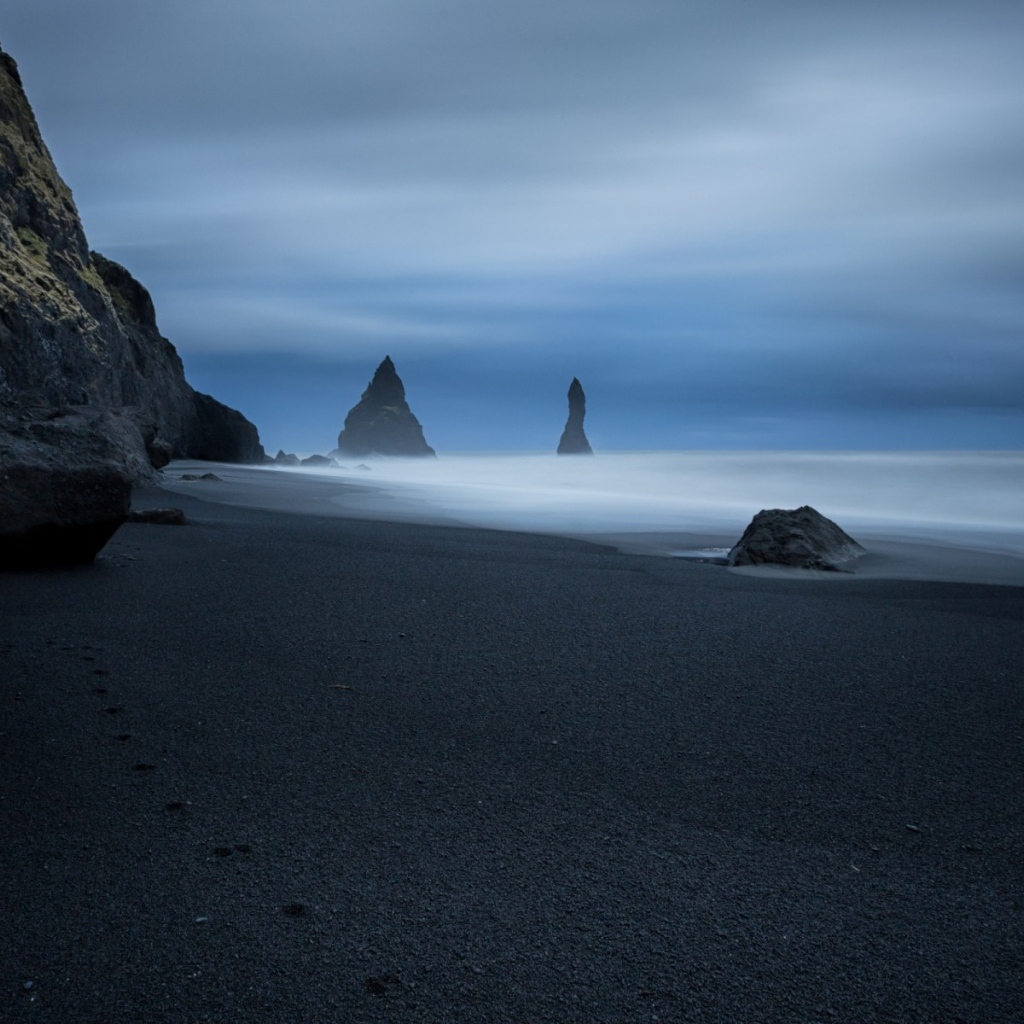 Следы животного на черном песке пляжа