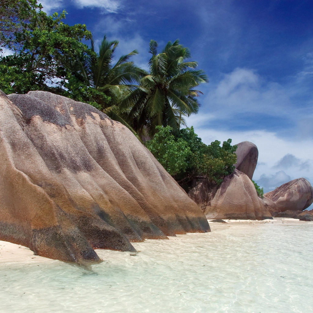 Красивый камень на пляже