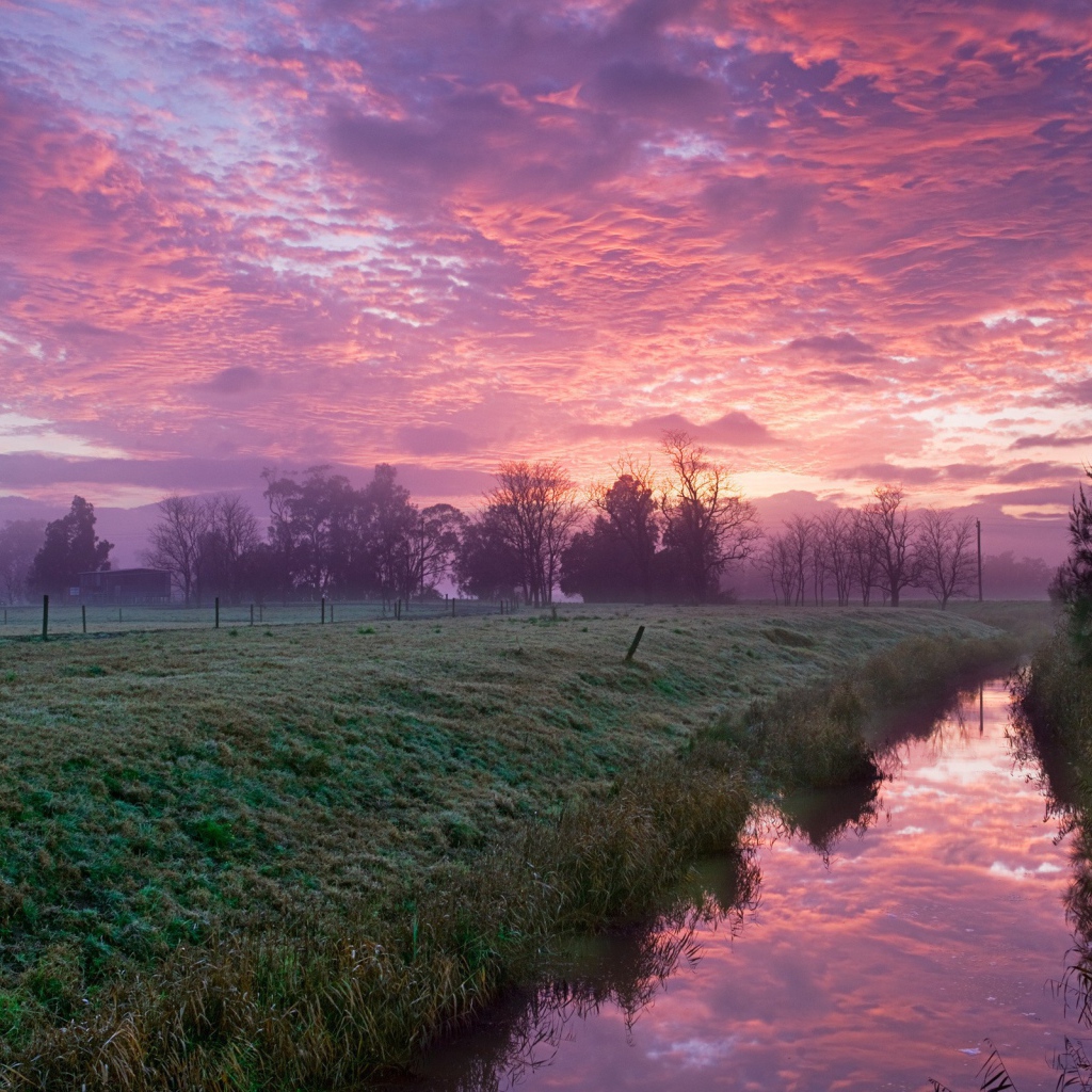 Розовые облака на рассвете