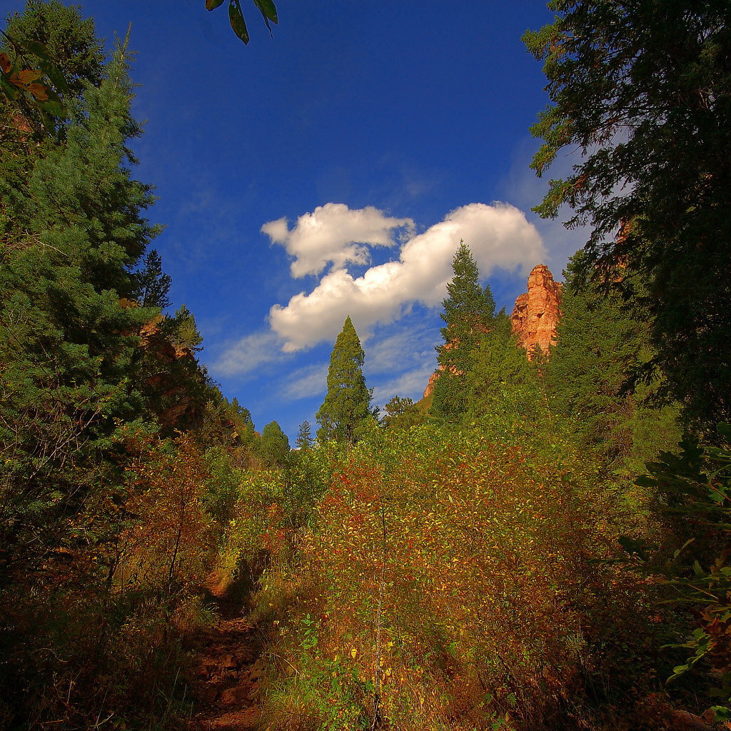 Кусок синего неба