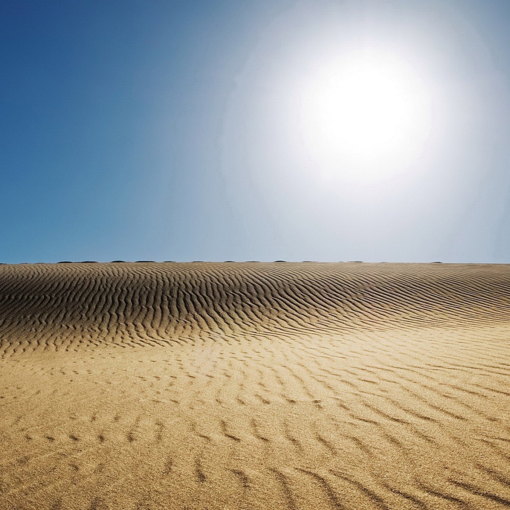 Бескрайняя мертвая пустыня