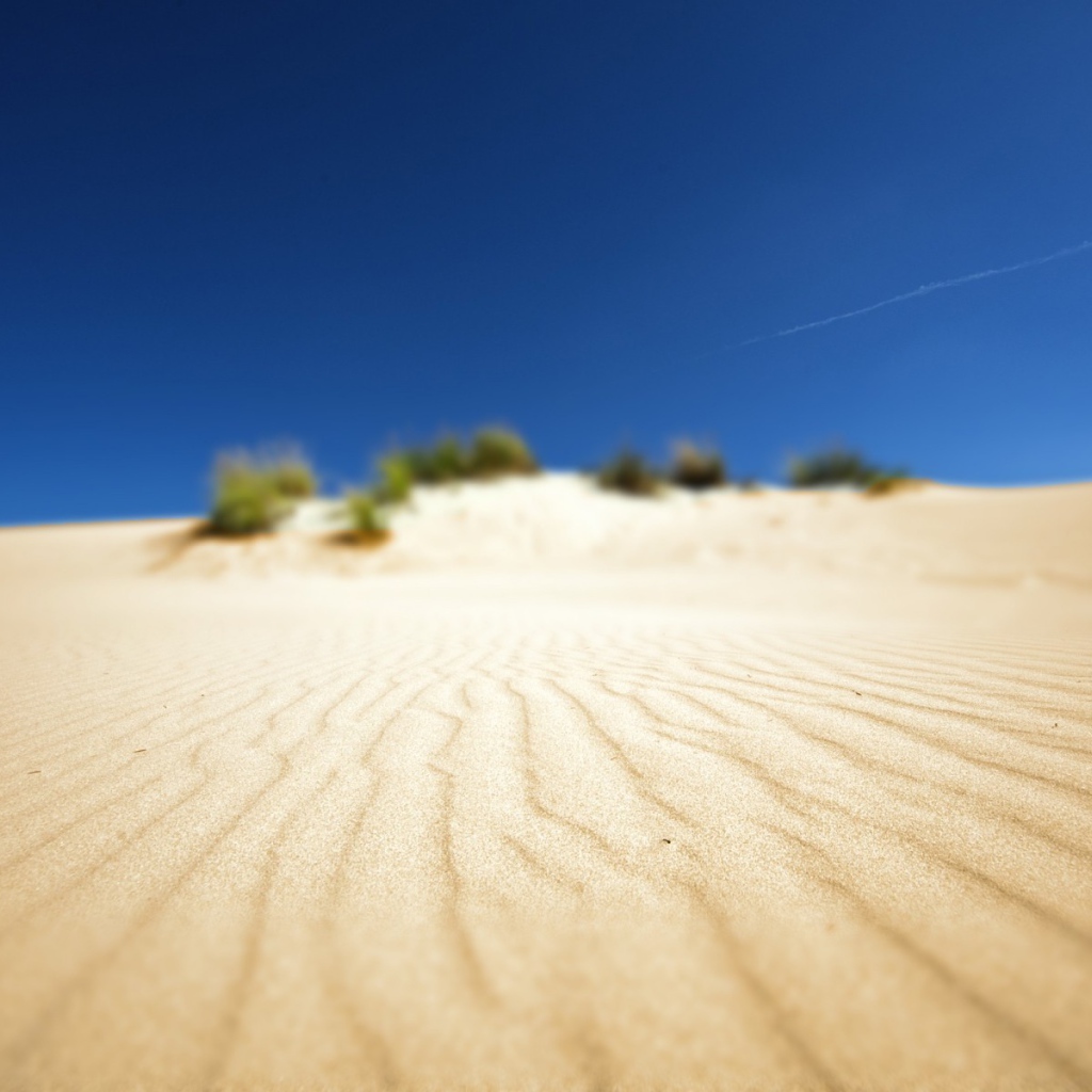 Только солнце и песок