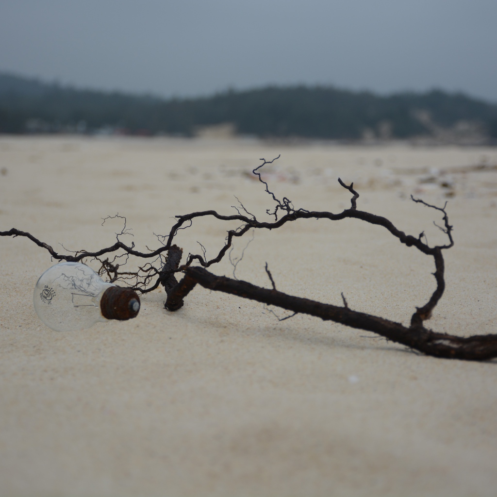 Черная ветка на белом песке