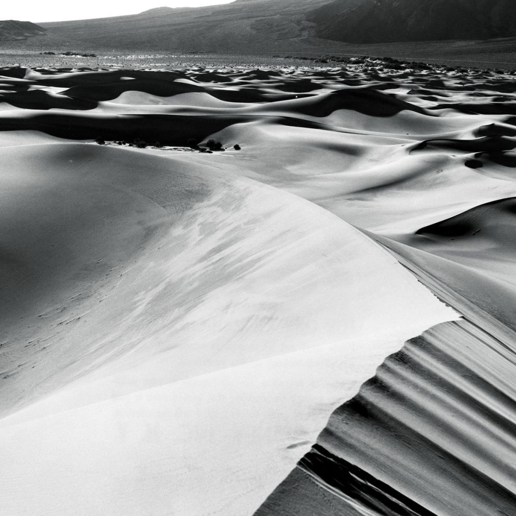 Барханы в пустыне