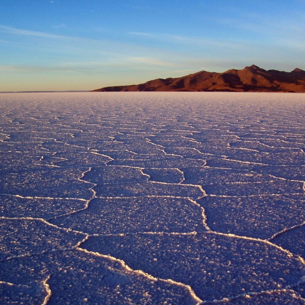 Белая солончаковая пустыня