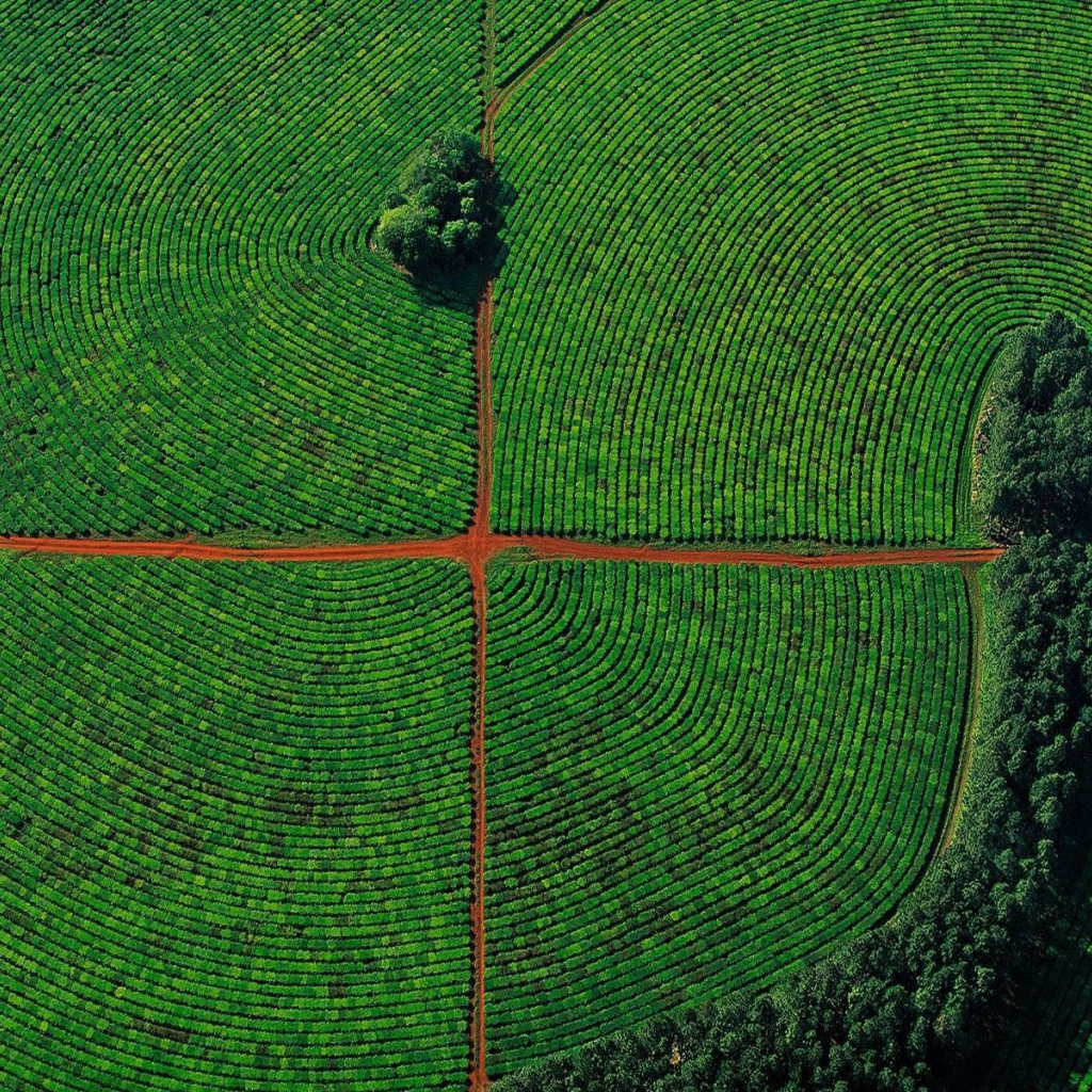 Красивое фото поля с высоты