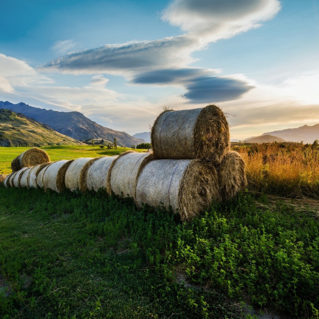Тюки сена в поле, фото HDR