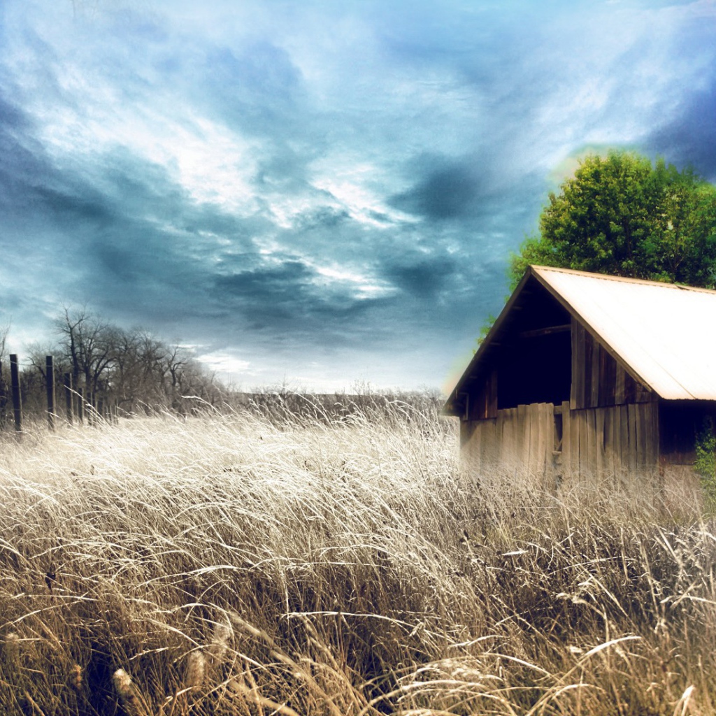 Сарай среди сухих зарослей