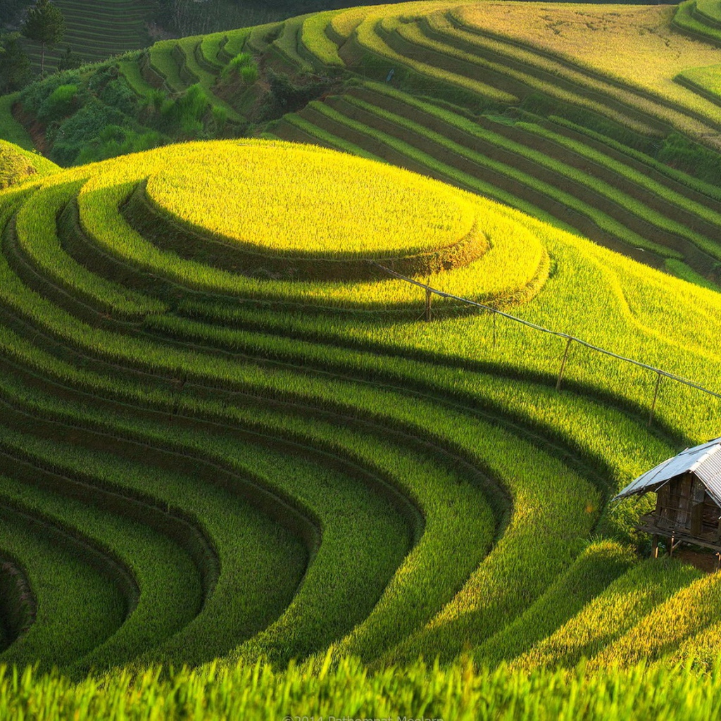 Возделанные поля на холме