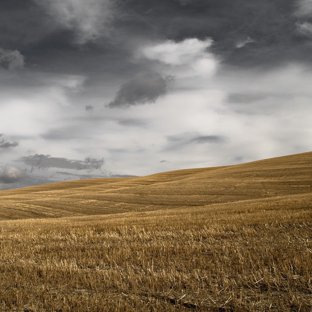 Темное небо над скошенным полем