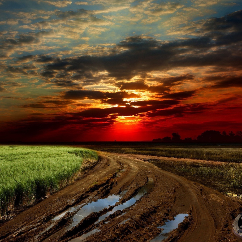 Размытая грунтовая дорога на краю поля