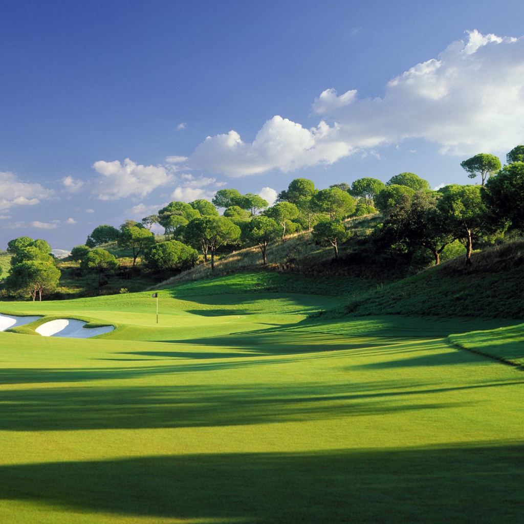 Зеленое поле для гольфа