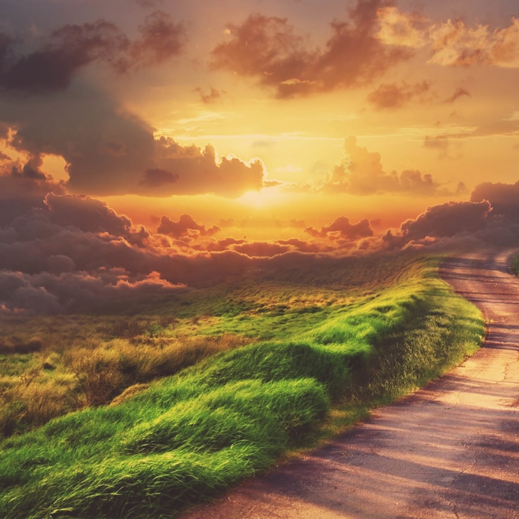 Зеленая трава у обочины дороги на закате