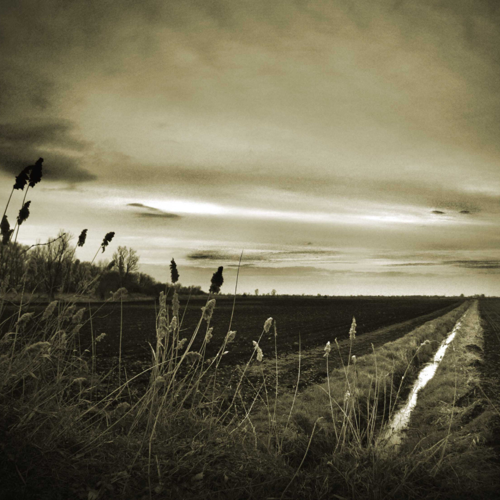 Оросительный канал