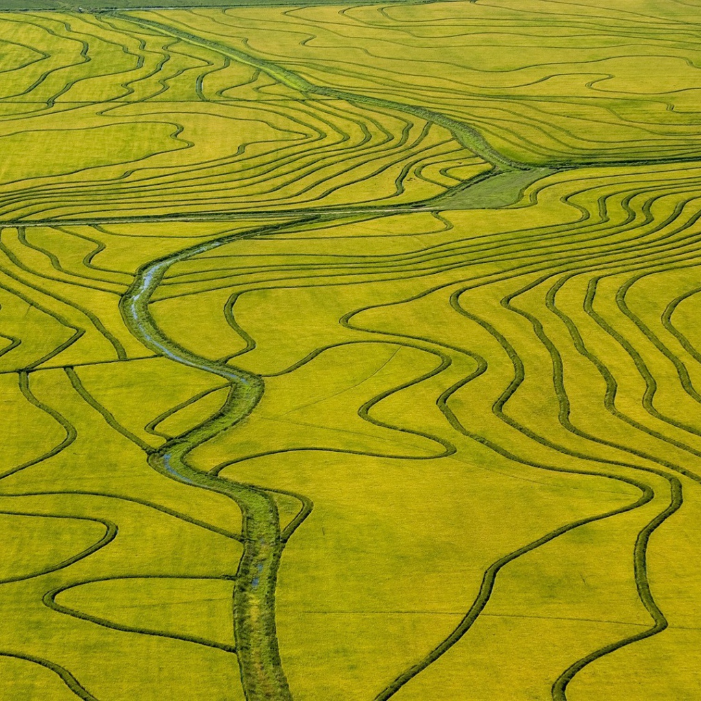 Оросительные каналы на поле необычной формы