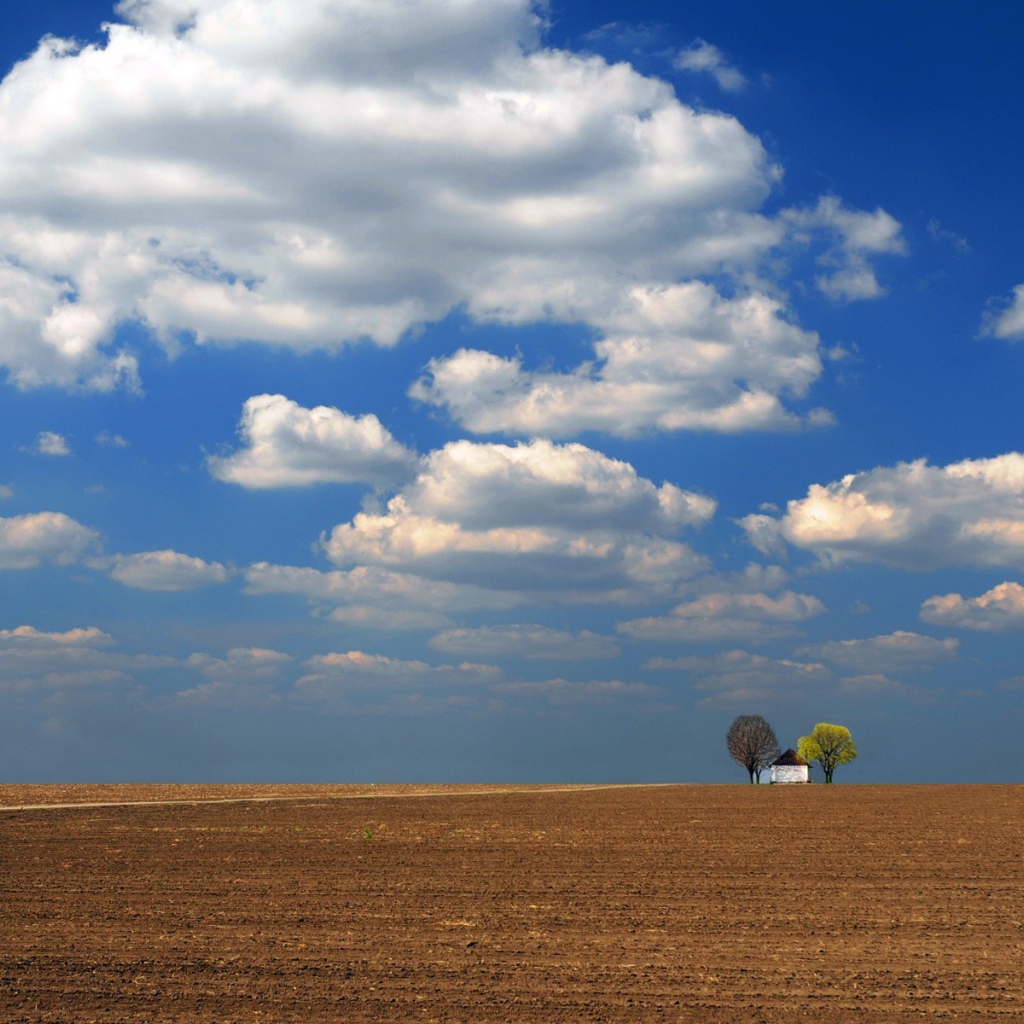 Одинокое строение среди вспаханного поля