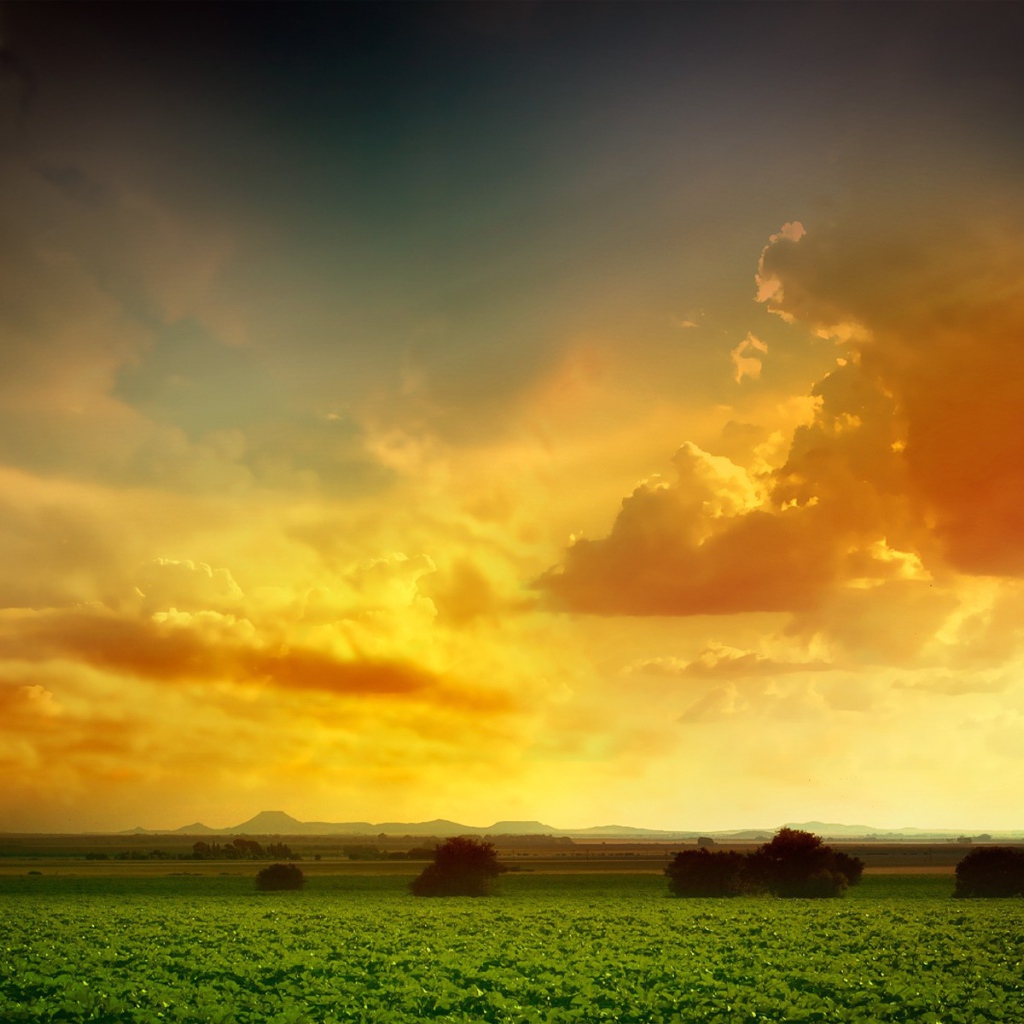 Оранжевое небо над зеленым полем