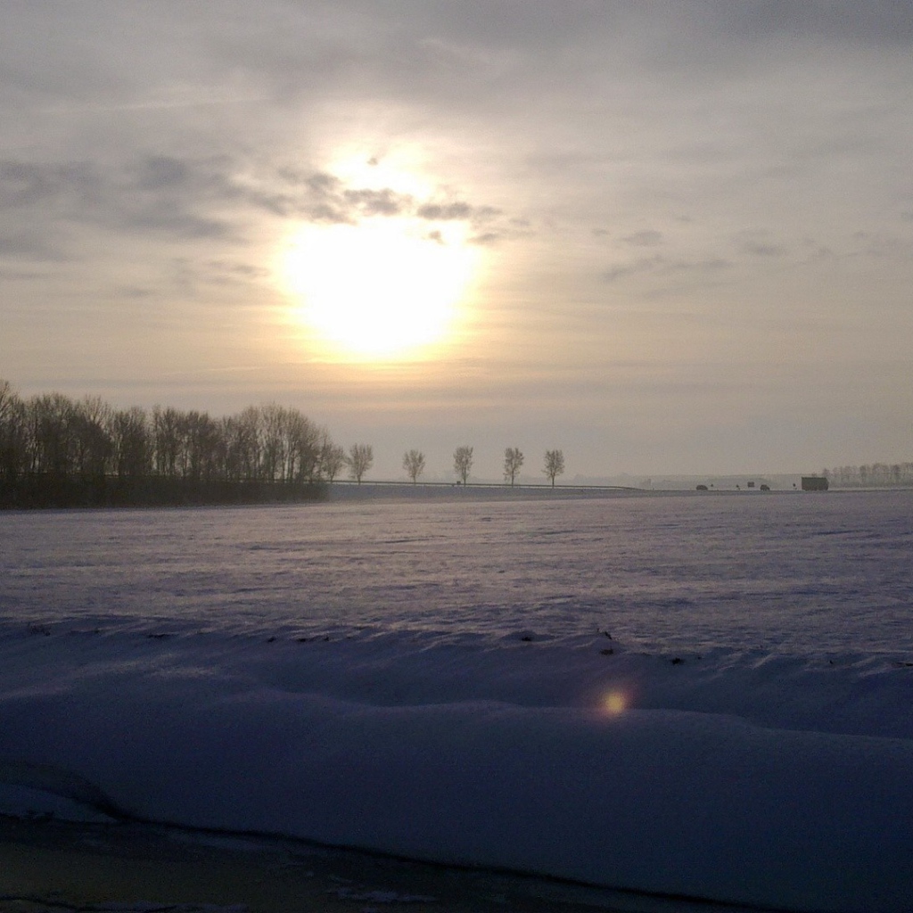 Заметенное снегом поле