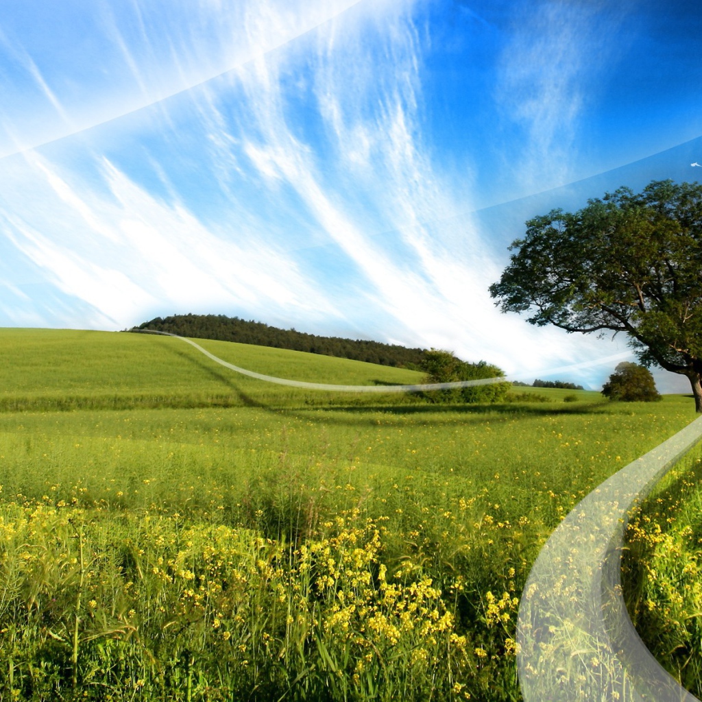 Белая линия на поле