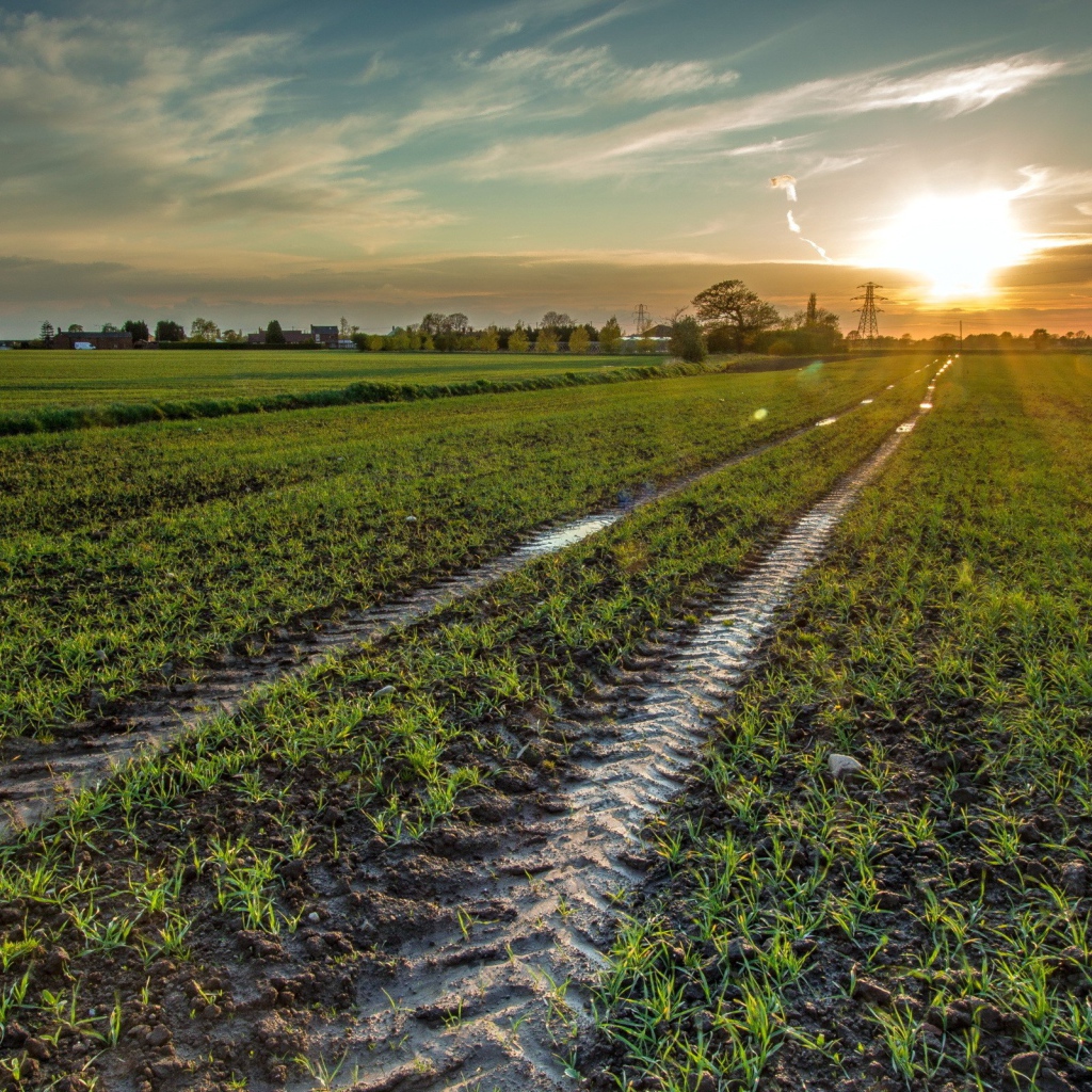 След трактора в поле